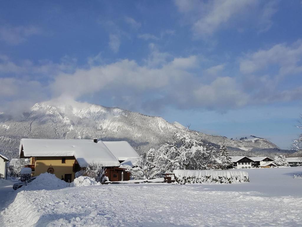 Chiemgauferienwohnungen - Wanderlust Und Alpenrose Unterwössen Dış mekan fotoğraf