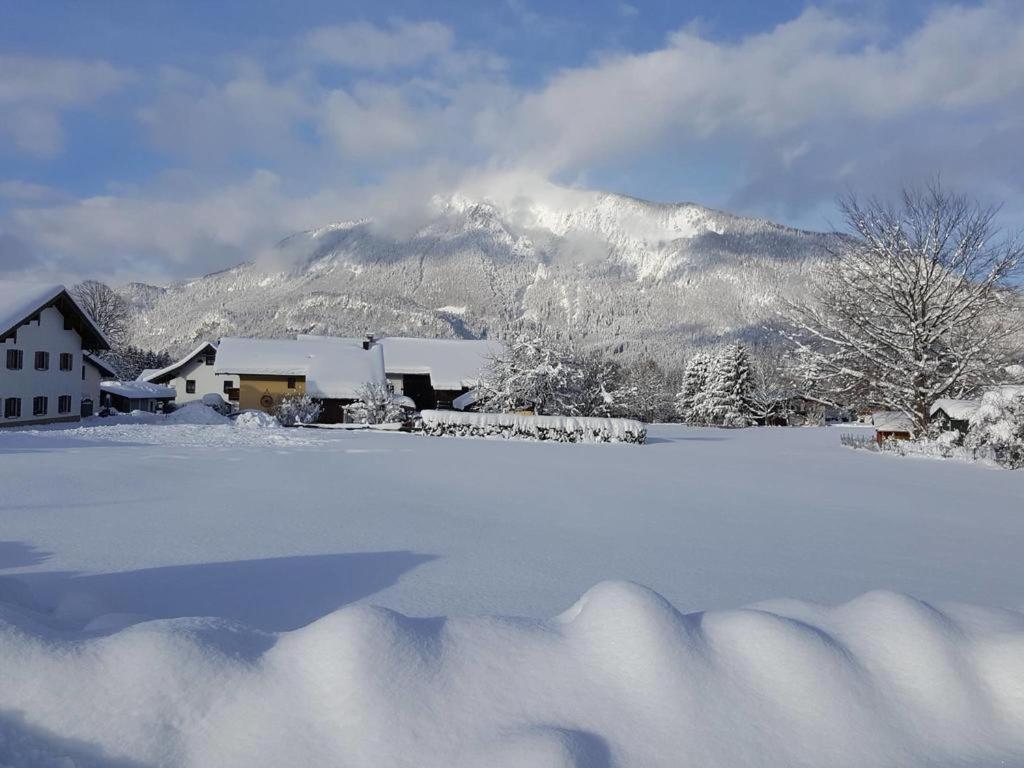 Chiemgauferienwohnungen - Wanderlust Und Alpenrose Unterwössen Dış mekan fotoğraf